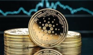 رشد رمزارز کاردانو با حمایت کامل نهنگ ها
