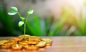 واریز سود تیر ماه صندوق حکمت آشنا ایرانیان