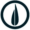 نشر نی
