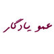 فروشگاه عمویادگار بانه