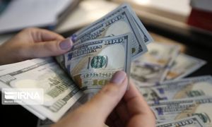 قیمت دلار به کانال 25 هزار تومان عقب نشست