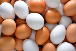 قیمت تخم مرغ در مرغداری گران تر از بازار