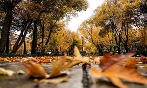نخستین مسابقه عکاسی «برگریزان تهران»
