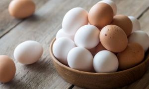 تخم مرغ ارزان می‌شود