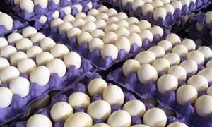 ارزش یارانه ۴۵۵۰۰ تومانی به اندازه یک شانه تخم مرغ