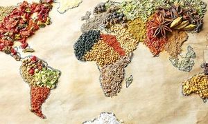 خطر بیخ گوش امنیت غذایی جهان