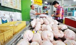 قیمت مرغ تا چند روز دیگر ارزان می‌شود
