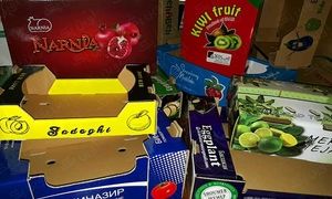 هر آنچه که باید راجع به آوین پک بدانید