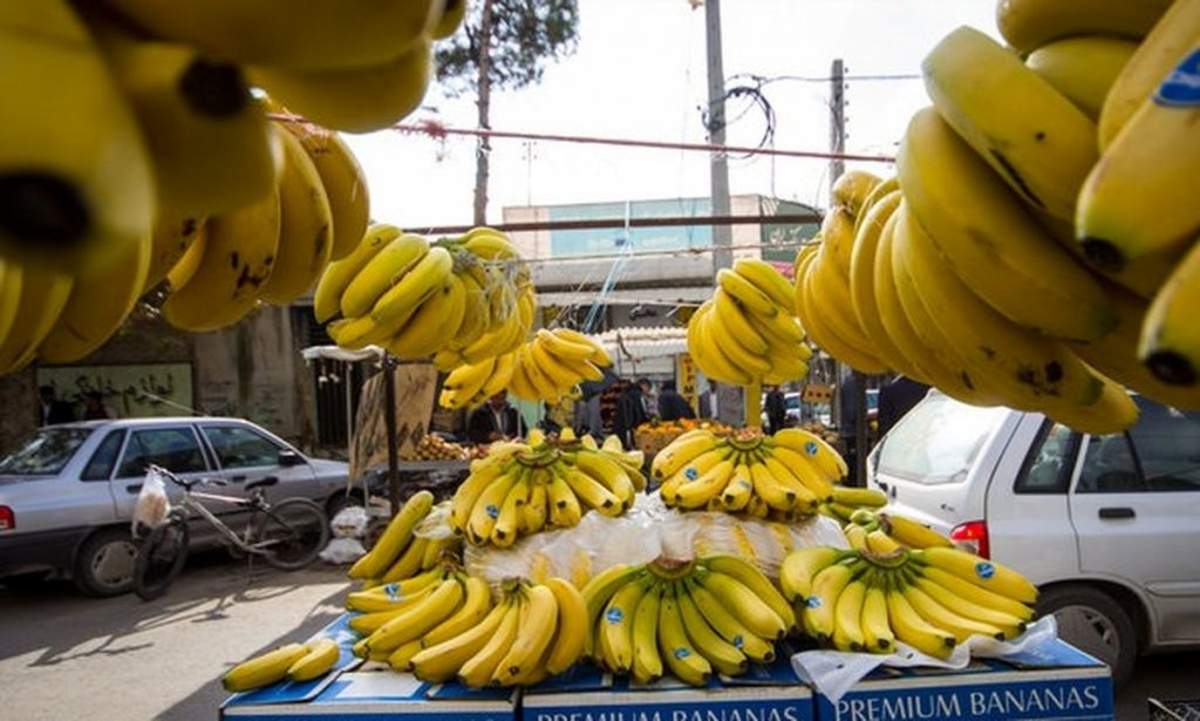 سقوط 20 هزار تومانی قیمت موز