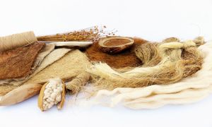 درباره پوشاک الیاف طبیعی تنِ درست چه می‌دانید؟
