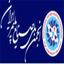 انجمن ملی صنایع پلیمر ایران