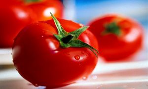 دفاع عجیب از گرانی بی‌موقع گوجه فرنگی !