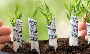 آوا نوین؛ پیشگام در ارائه خدمات مالی